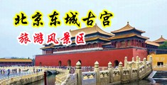 男生插女生的私人部位视频免费中国北京-东城古宫旅游风景区